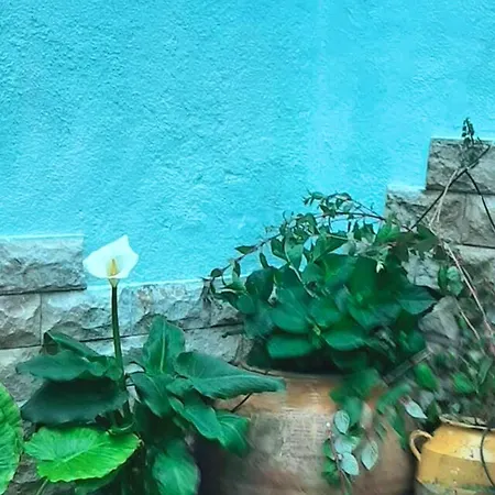 Charming House In 度假居