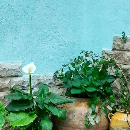 Charming House In * Orés
