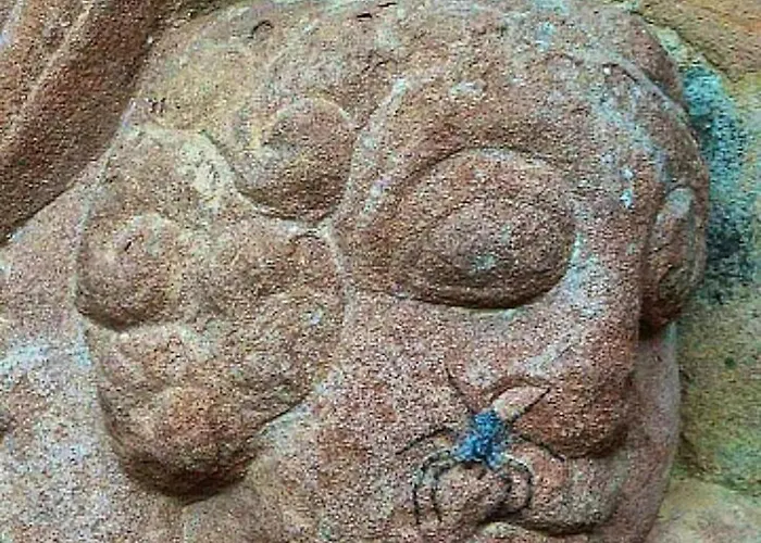 Charming House In Dom wakacyjny *