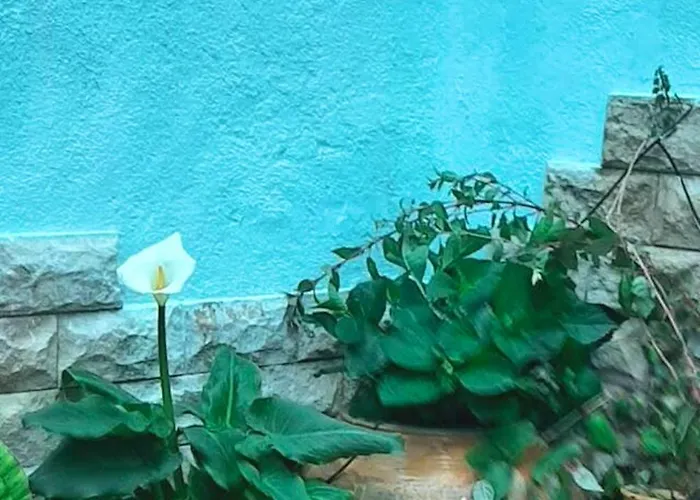 Charming House In Dom wakacyjny